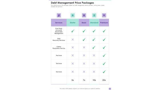 Debt_Management_Process_Proposal_Example_Document_Report_Doc_Pdf_Ppt_Slide_12.jpg