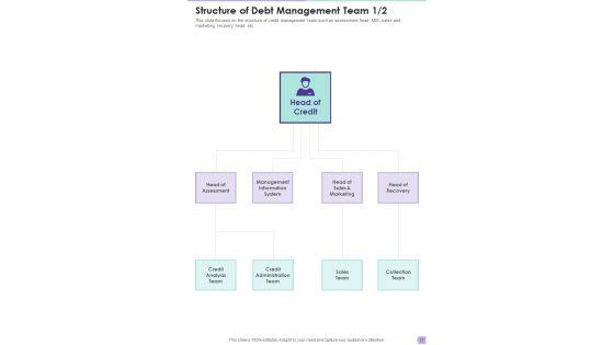 Debt_Management_Process_Proposal_Example_Document_Report_Doc_Pdf_Ppt_Slide_17.jpg