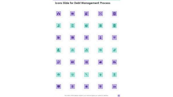 Debt_Management_Process_Proposal_Example_Document_Report_Doc_Pdf_Ppt_Slide_29.jpg