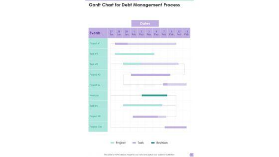 Debt_Management_Process_Proposal_Example_Document_Report_Doc_Pdf_Ppt_Slide_31.jpg