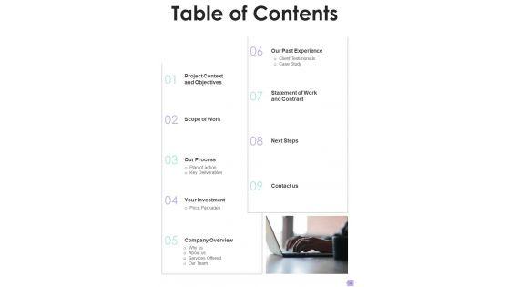 Debt_Management_Process_Proposal_Example_Document_Report_Doc_Pdf_Ppt_Slide_3.jpg