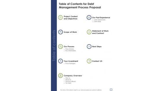 Debt_Management_Process_Research_Proposal_Example_Document_Report_Doc_Pdf_Ppt_Slide_3.jpg