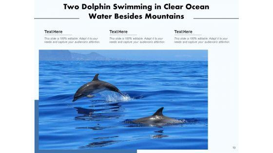 Delphinus_Sea_Water_Ocean_Water_Ppt_PowerPoint_Presentation_Complete_Deck_Slide_10.jpg