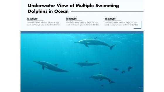 Delphinus_Sea_Water_Ocean_Water_Ppt_PowerPoint_Presentation_Complete_Deck_Slide_11.jpg