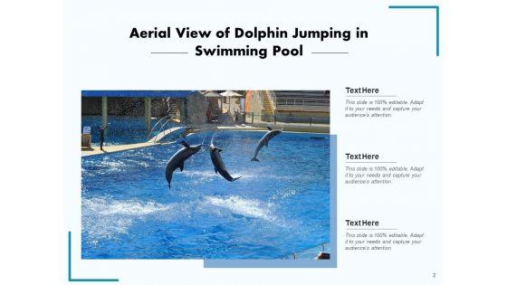 Delphinus_Sea_Water_Ocean_Water_Ppt_PowerPoint_Presentation_Complete_Deck_Slide_2.jpg