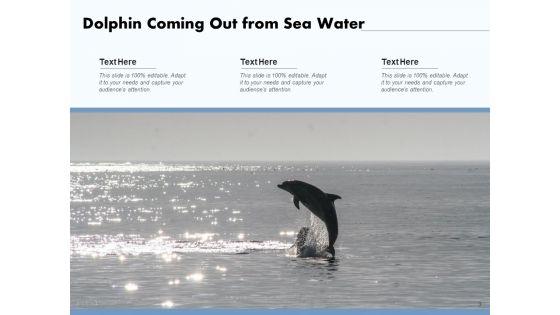 Delphinus_Sea_Water_Ocean_Water_Ppt_PowerPoint_Presentation_Complete_Deck_Slide_3.jpg