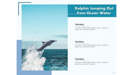 Delphinus_Sea_Water_Ocean_Water_Ppt_PowerPoint_Presentation_Complete_Deck_Slide_4.jpg