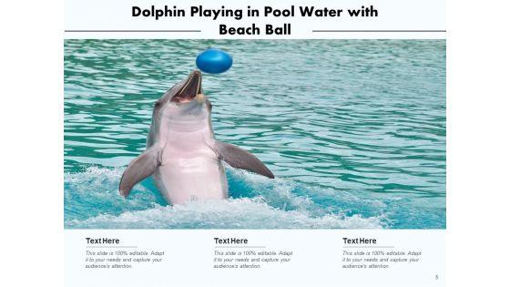 Delphinus_Sea_Water_Ocean_Water_Ppt_PowerPoint_Presentation_Complete_Deck_Slide_5.jpg