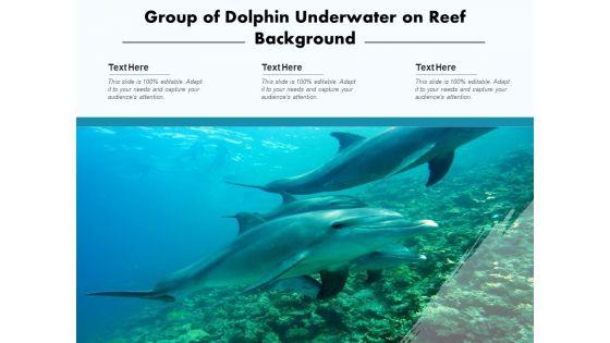 Delphinus_Sea_Water_Ocean_Water_Ppt_PowerPoint_Presentation_Complete_Deck_Slide_6.jpg
