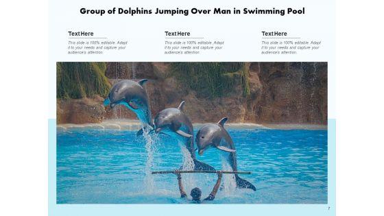 Delphinus_Sea_Water_Ocean_Water_Ppt_PowerPoint_Presentation_Complete_Deck_Slide_7.jpg