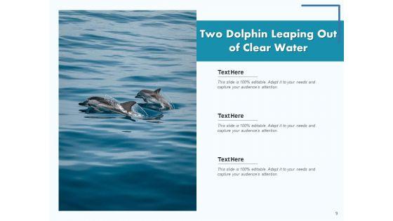 Delphinus_Sea_Water_Ocean_Water_Ppt_PowerPoint_Presentation_Complete_Deck_Slide_9.jpg