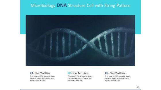 Deoxyribonucleic_Acid_Research_Operating_Ppt_PowerPoint_Presentation_Complete_Deck_Slide_10.jpg
