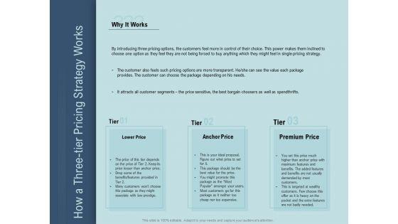 Determine_Right_Pricing_Strategy_New_Product_How_A_Three_Tier_Pricing_Strategy_Works_Template_PDF_Slide_1.jpg