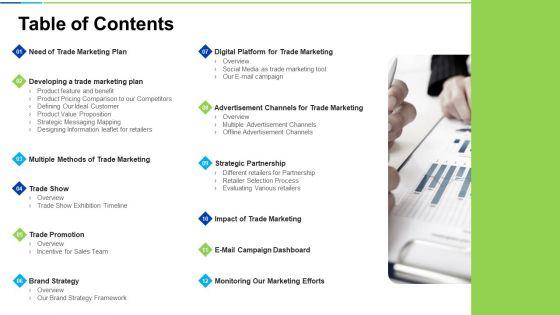 Developing_And_Controlling_B2b_Marketing_Plan_Table_Of_Contents_Themes_PDF_Slide_1.jpg