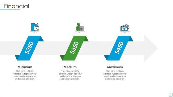 Developing_Firm_Security_Strategy_Plan_Financial_Template_PDF_Slide_1.jpg