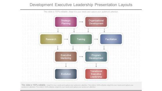 Development_Executive_Leadership_Presentation_Layouts_1.jpg