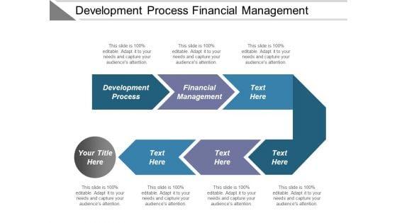 Development_Process_Financial_Management_Ppt_PowerPoint_Presentation_Show_Background_Images_Slide_1.jpg