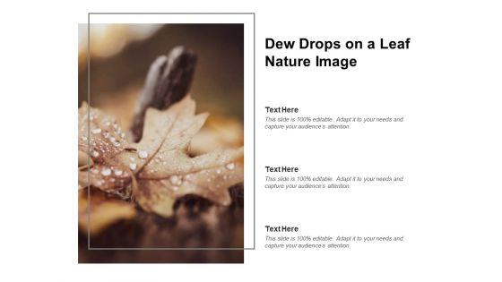 Dew_Drops_On_A_Leaf_Nature_Image_Ppt_PowerPoint_Presentation_Professional_Layouts_Slide_1.jpg