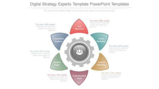 Digital_Strategy_Experts_Template_Powerpoint_Templates_1.jpg