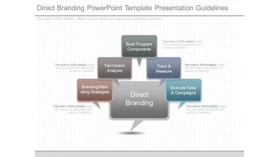 Direct_Branding_Powerpoint_Template_Presentation_Guidelines_1.jpg
