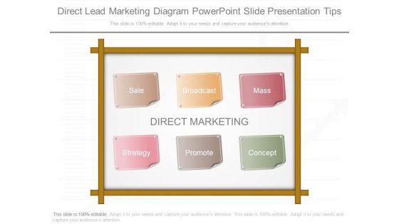 Direct_Lead_Marketing_Diagram_Powerpoint_Slide_Presentation_Tips_1.jpg