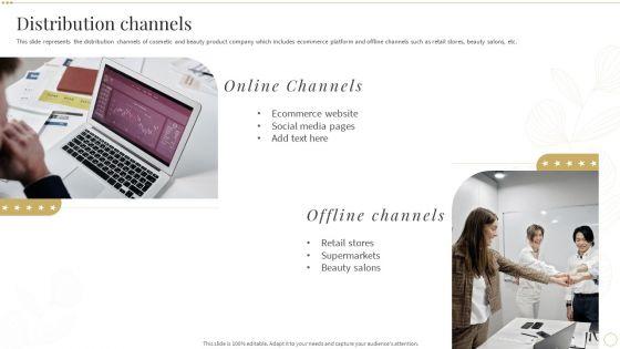 Distribution_Channels_Skin_Care_And_Beautifying_Products_Company_Profile_Professional_PDF_Slide_1.jpg