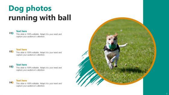 Dog_Photos_Ppt_PowerPoint_Presentation_Complete_Deck_With_Slides_Slide_2.jpg