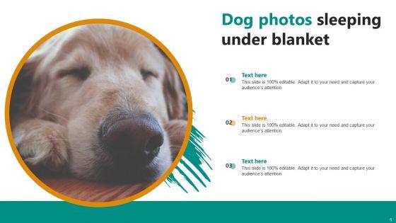 Dog_Photos_Ppt_PowerPoint_Presentation_Complete_Deck_With_Slides_Slide_5.jpg