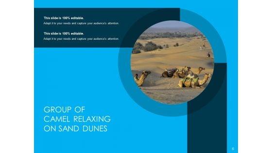 Dromedary_Captivity_Gear_Ppt_PowerPoint_Presentation_Complete_Deck_Slide_6.jpg