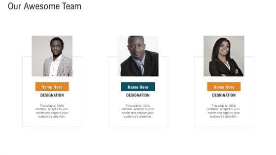 E_Healthcare_Strategic_Development_And_Approach_Our_Awesome_Team_Infographics_PDF_Slide_1.jpg