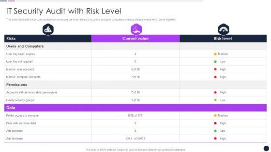 Effective_Digital_Marketing_Audit_Process_IT_Security_Audit_With_Risk_Level_Introduction_PDF_Slide_1.jpg