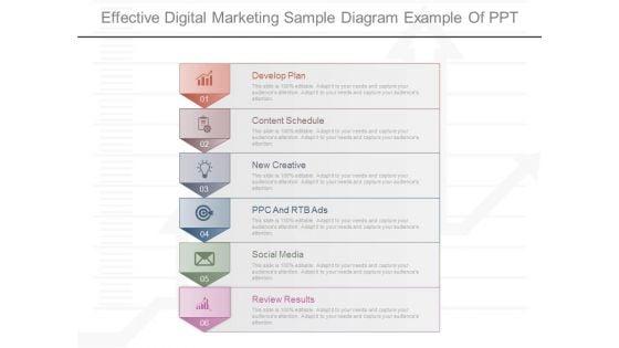 Effective_Digital_Marketing_Sample_Diagram_Example_Of_Ppt_1.jpg