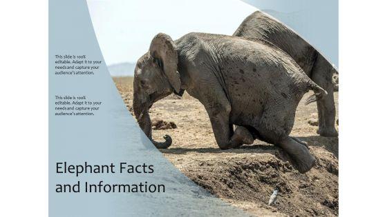 Elephant_Facts_And_Information_Ppt_PowerPoint_Presentation_Model_Graphics_Example_PDF_Slide_1.jpg