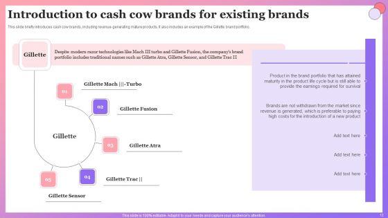 Enabling_Brand_Portfolio_To_Action_Ppt_PowerPoint_Presentation_Complete_Deck_With_Slides_Slide_12.jpg