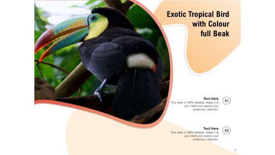 Equatorial_Tropical_Location_Tropical_Beach_Ppt_PowerPoint_Presentation_Complete_Deck_Slide_4.jpg
