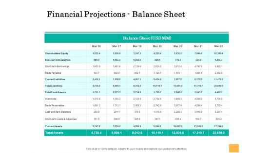 Equity_Capital_Funding_Financial_Projections_Balance_Sheet_Ppt_Show_Graphics_Design_PDF_Slide_1.jpg