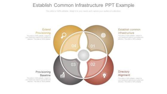 Establish_Common_Infrastructure_Ppt_Example_1.jpg