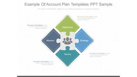 Example_Of_Account_Plan_Templates_Ppt_Sample_1.jpg