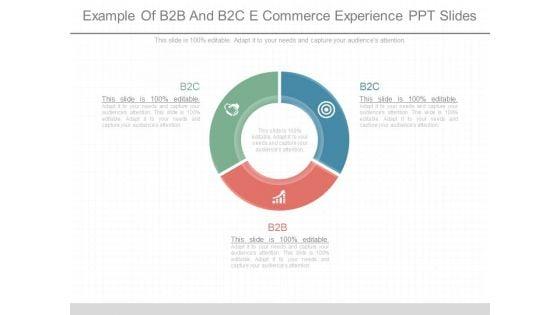 Example_Of_B2b_And_B2c_E_Commerce_Experience_Ppt_Slides_1.jpg