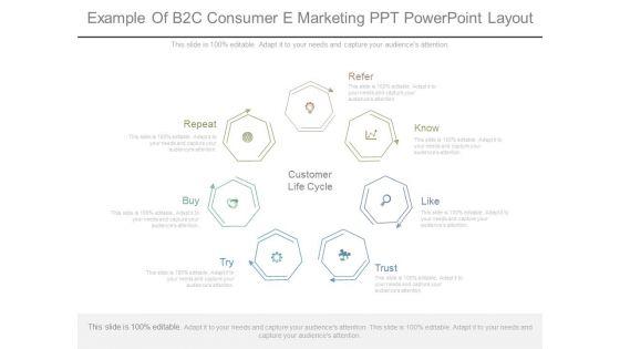 Example_Of_B2c_Consumer_E_Marketing_Ppt_Powerpoint_Layout_1.jpg