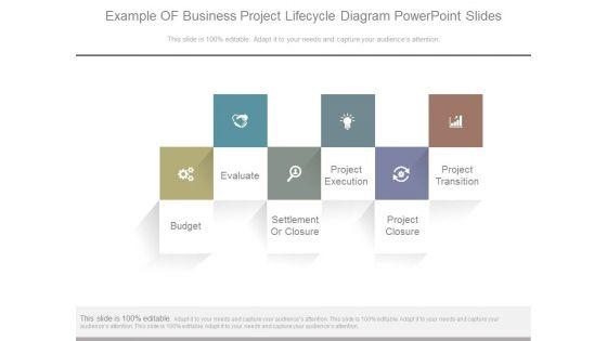 Example_Of_Business_Project_Lifecycle_Diagram_Powerpoint_Slides_1.jpg