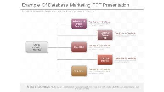 Example_Of_Database_Marketing_Ppt_Presentation_1.jpg