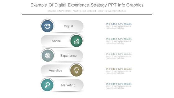 Example_Of_Digital_Experience_Strategy_Ppt_Info_Graphics_1.jpg