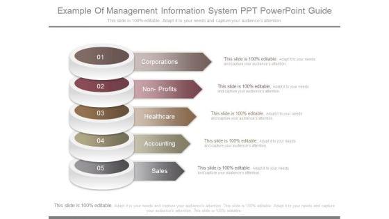 Example_Of_Management_Information_System_Ppt_Powerpoint_Guide_1.jpg