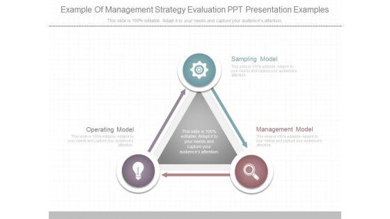 Example_Of_Management_Strategy_Evaluation_Ppt_Presentation_Examples_1.jpg