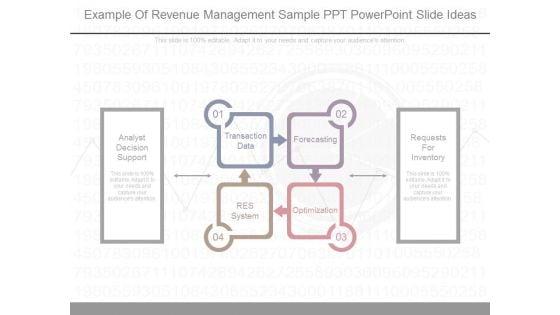 Example_Of_Revenue_Management_Sample_Ppt_Powerpoint_Slide_Ideas_1.jpg