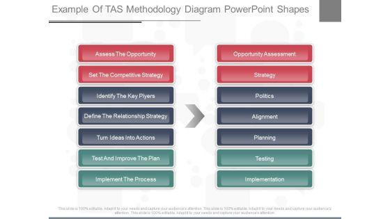 Example_Of_Tas_Methodology_Diagram_Powerpoint_Shapes_1.jpg