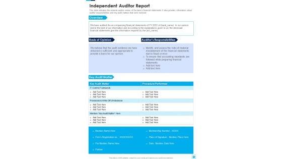 Example_Yearly_Report_For_Financial_Institution_One_Pager_Documents_Slide_13.jpg