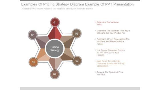 Examples_Of_Pricing_Strategy_Diagram_Example_Of_Ppt_Presentation_1.jpg