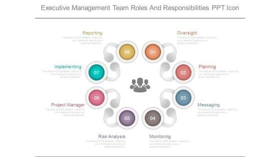 Executive_Management_Team_Roles_And_Responsibilities_Ppt_Icon_1.jpg